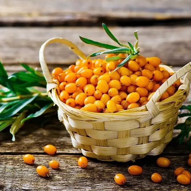 Sea buckthorn seeds