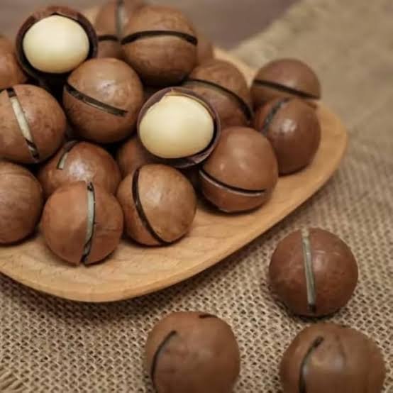 Macadamia nuts 2250kg
